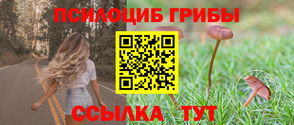 Галлюциногенные грибы прущие грибы  Вход с VPN  Зима 